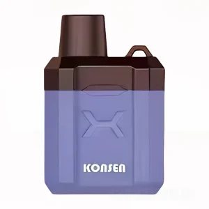 KONSEN Disposable Box E-cigs 3000 Puffs – Blueberry